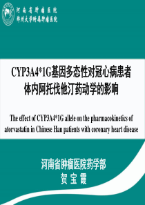 临床药学年会-省肿瘤-贺宝霞