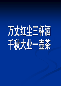 万丈红尘三杯酒千秋大业一壶茶