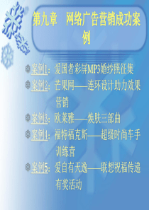 网络广告营销成功案例分解