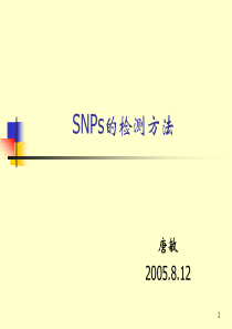 SNP检测方法(讲课版)