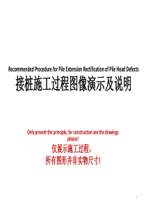 接桩建议书 Recommendation for Pile Extension