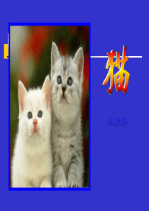 郑振铎《猫》定稿ppt课件