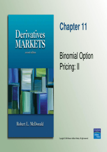 Derivative Markets 2nd Edition- Robert L.Mcdonald 