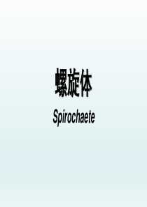 螺旋体介绍、特点、临床表现、检查及其防治.PPT