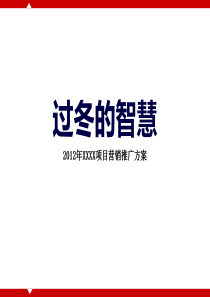 2012年下半年XX项目营销推广方案详解