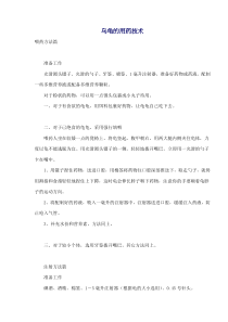 乌龟的用药技术(doc20)(1)