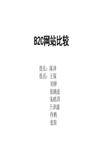 B2C网站比较