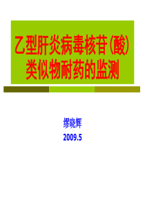 乙型肝炎病毒核苷(酸)类似物耐药的检测