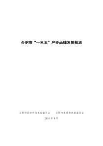 合肥十三五产业品牌发展规划