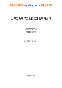 上海宝山城市工业园区开发有限公司企业战略规划项目建议书