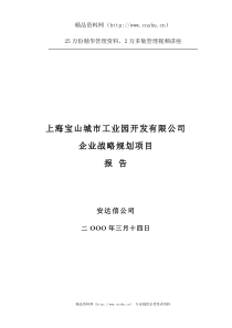 上海宝山城市工业园开发有限公司企业战略规划项目