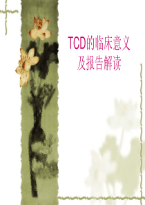 TCD课件初稿