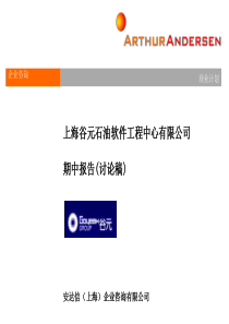 上海谷元石油软件工程中心有限公司期中报告120页