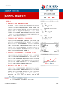 云南白药--混改落地焕发新活力-171126(33页)PDF