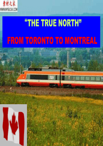 高中英语必修三unit5 canada the true north using language 