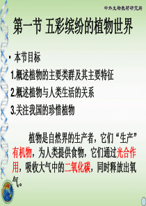 藻类植物藻类植物的形态结构