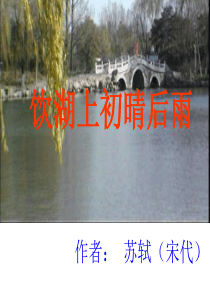 《饮湖上初晴后雨》词语解释