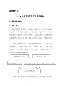 XXX公司项目贷款授信评估报告