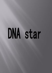 DNA  star 简介