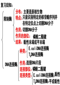 基因工程的操作程序1概要