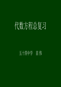 代数方程总复习