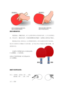 乒乓球直拍与横拍的特点