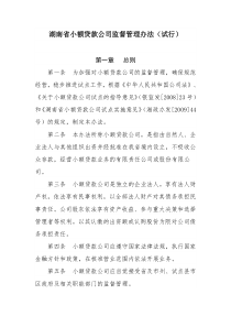 湖南省小额贷款公司监督管理办法