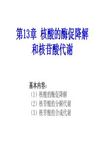 核酸的酶促降解及核苷酸代谢