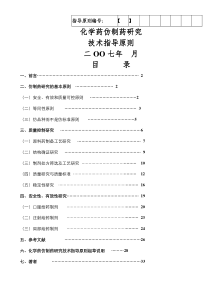 仿制化学药品研究技术指导原则