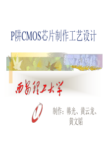 P阱CMOS芯片制作工艺设计