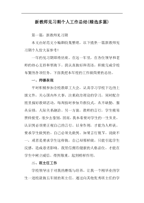 新教师见习期个人工作总结