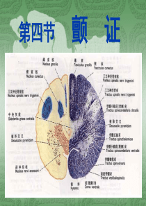 第七章肢体经络病证―第四节―颤证_中医内科学