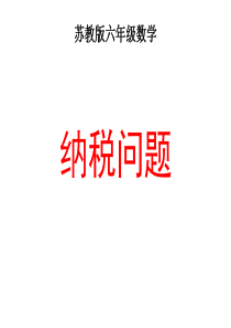 《纳税问题》课件PPT