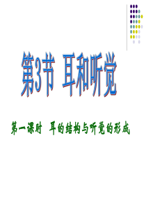 浙教版科学七年级下册2.3《耳和听觉》