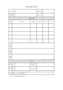 项目投标计划书