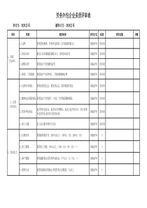 XX公司劳务外包公司审计表