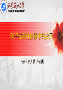 DSP在测井仪器中的应用