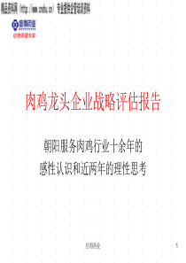 信得药业肉鸡龙头企业战略评估报告