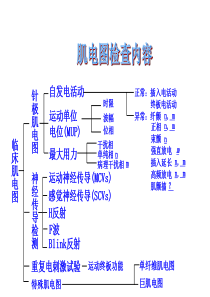 针极肌电图检测