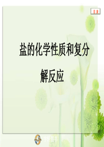 中考化学_盐的化学性质和复分解反应