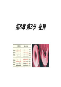 高二生物变异课件3