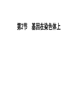 高二生物基因在染色体上1模板