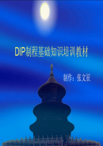 DIP教材