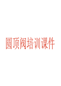 培训教材-圆顶阀