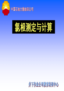 47氯根测定与计算