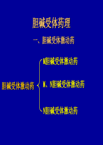 六、胆碱受体激动药