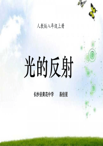 光的反射创新实验