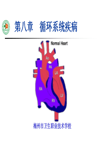 儿科学循环系统疾病