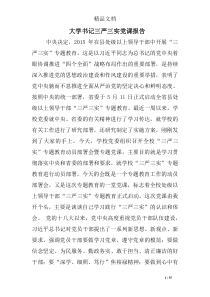 大学书记三严三实党课报告