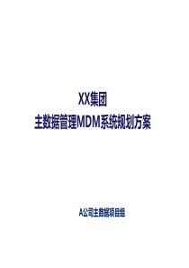 XX集团主数据管理DMD系统规划方案